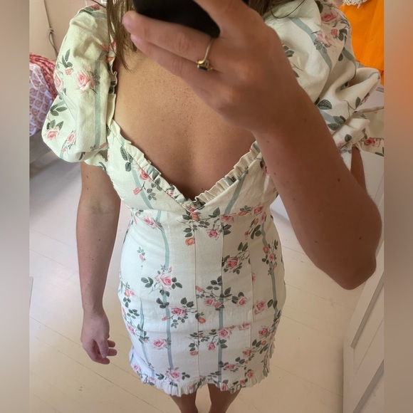 Rose Stripe Printed Mini Dress - Picture 2 of 3